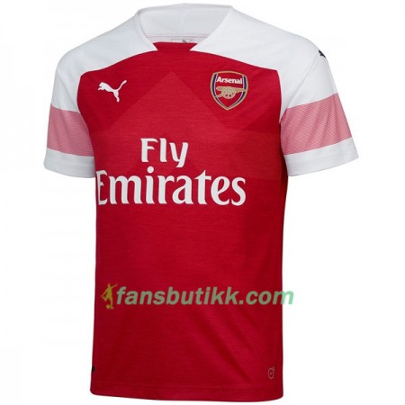 Fotballdrakt Arsenal Hjemmetrøye 2018-2019 Kortermet